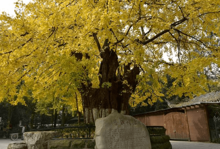 image007.png