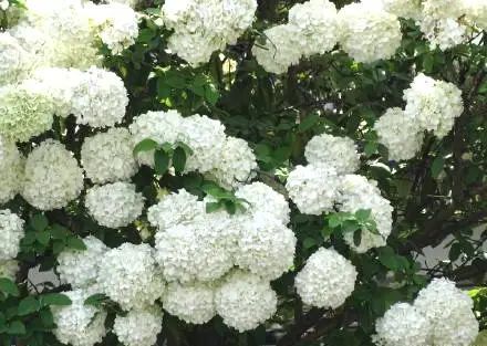 image012.jpg