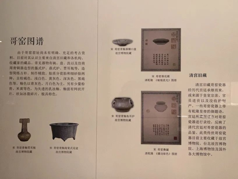 图片20.png 图片20.png