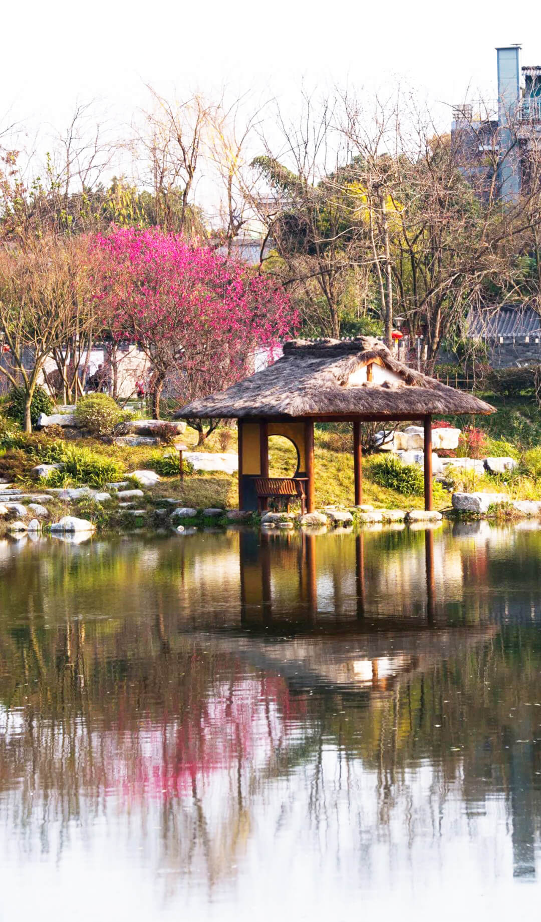 浣花溪公园梅景.jpg