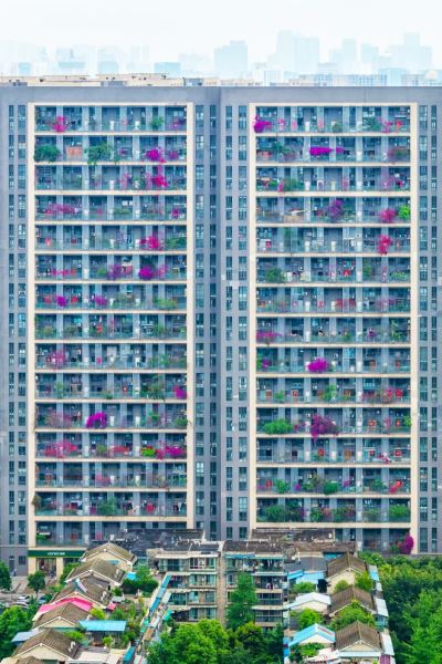 青羊区瑞南街优品道曦岸小区.jpg