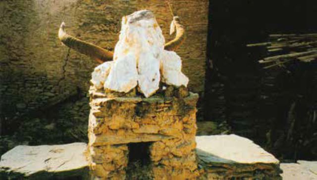 image003.jpg