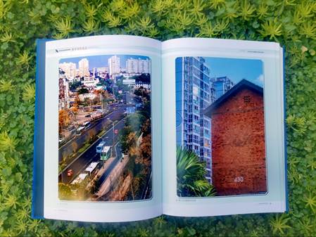 image006.jpg image006.jpg