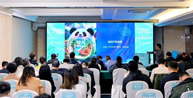 image019.jpg image019.jpg